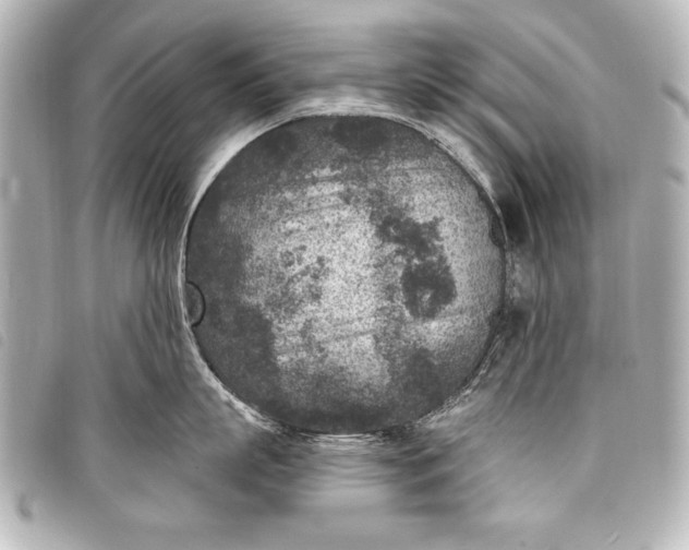 X0000098070863200804181131