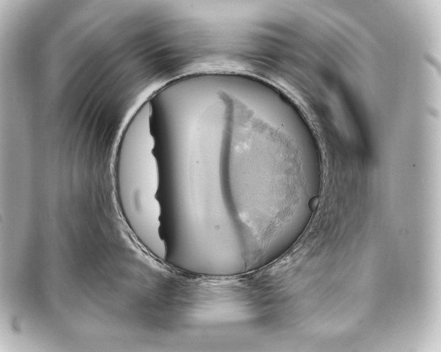 X0000098070864200804181131