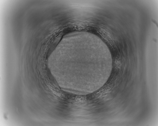 X0000098070865200804181130