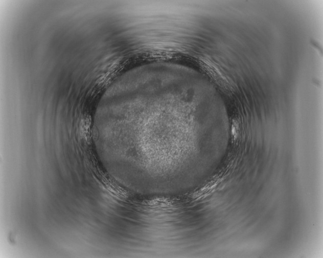 X0000098070867200804181130