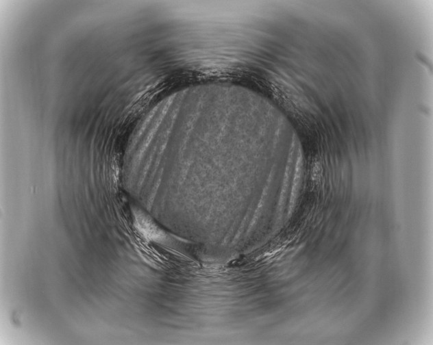 X0000098070868200804181130