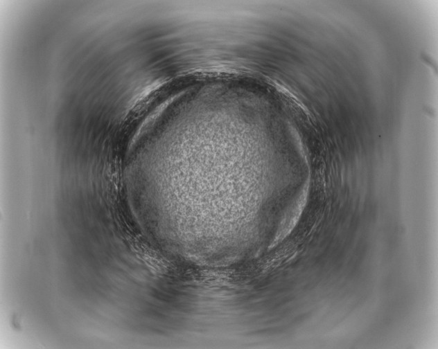 X0000098070870200804181130