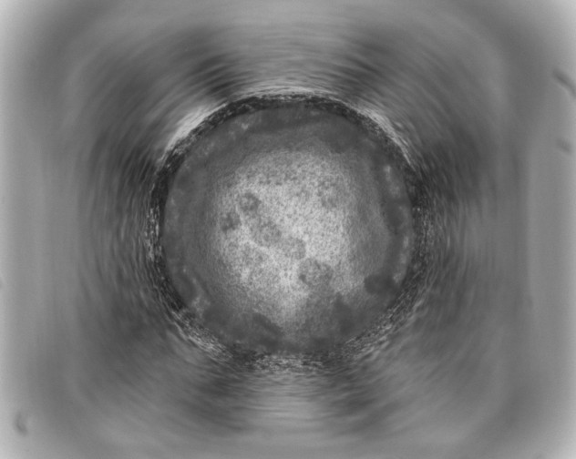 X0000098070871200804181130