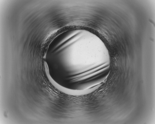 X0000098070872200804181130