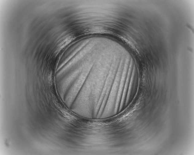 X0000098070873200804181130