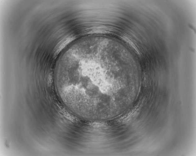 X0000098070874200804181130