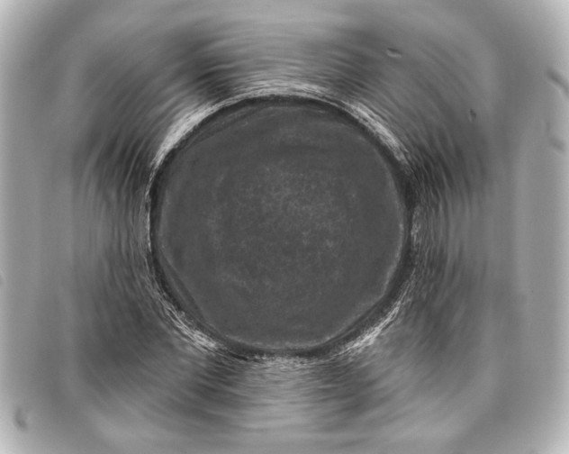 X0000098070877200804181130