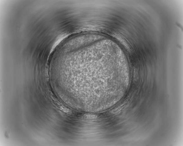 X0000098070878200804181130