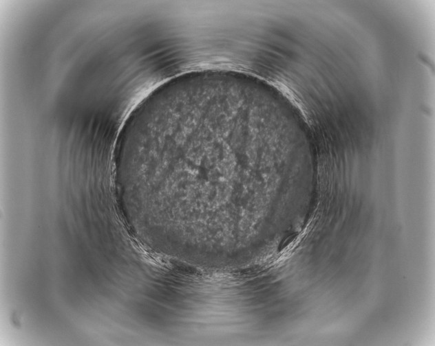 X0000098070879200804181130