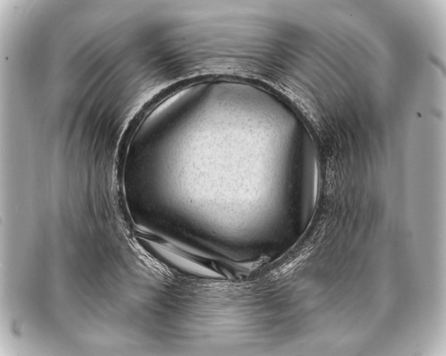 X0000098070880200804181130