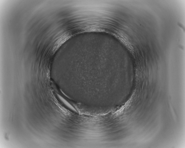 X0000098070881200804181130