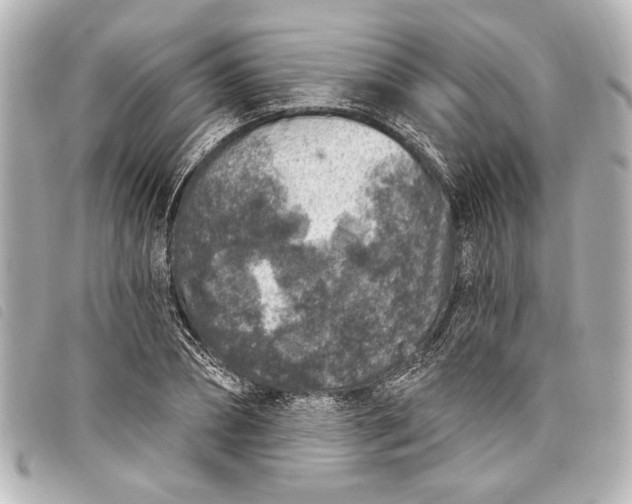 X0000098070882200804181130