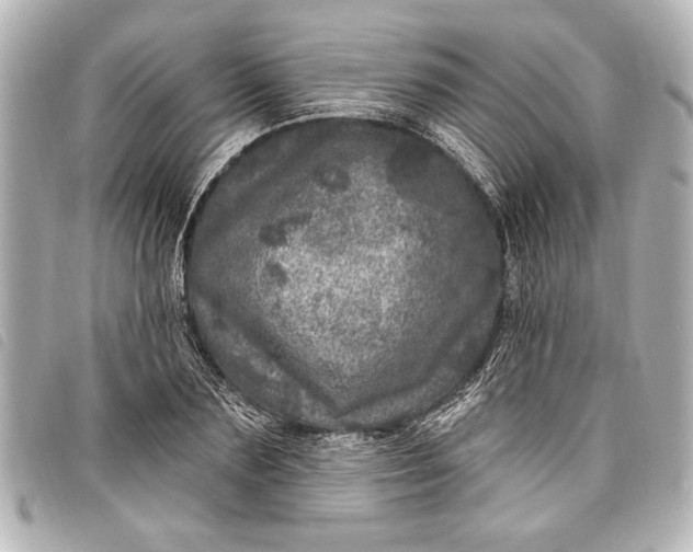 X0000098070883200804181130