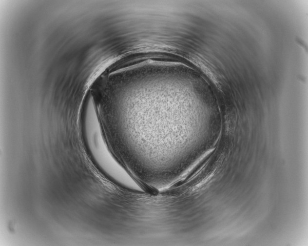 X0000098070885200804181130