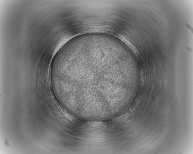 X0000098070886200804181130