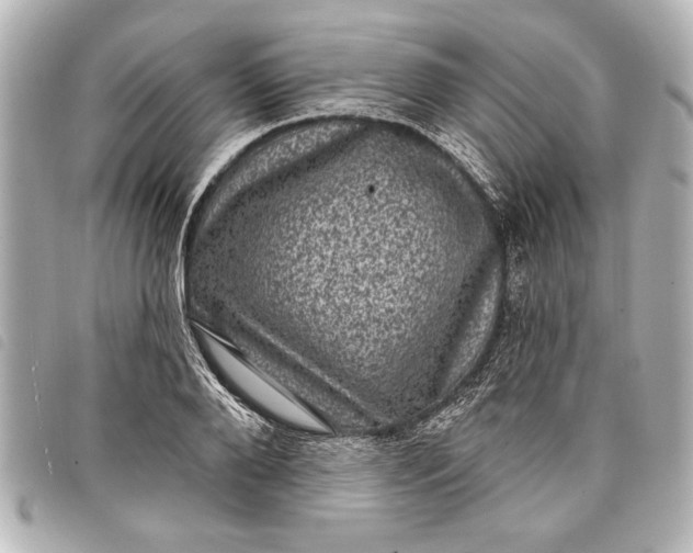 X0000098070888200804181130