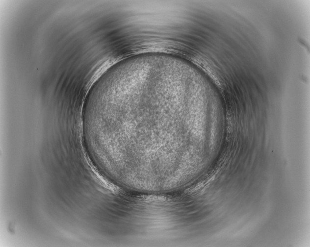 X0000098070890200804181130