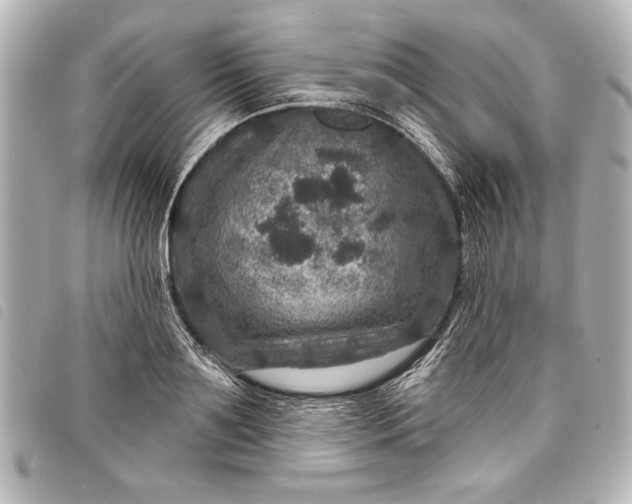 X0000098070891200804181130