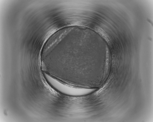 X0000098070892200804181130