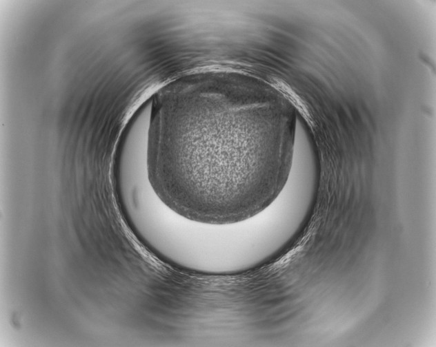 X0000098070893200804181130