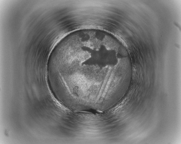 X0000098070895200804181130