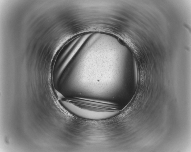 X0000098070896200804181130