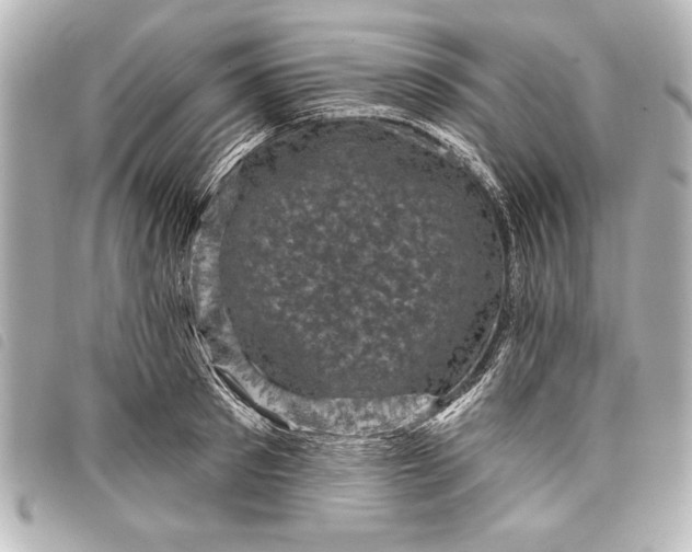 X0000098070897200804181130