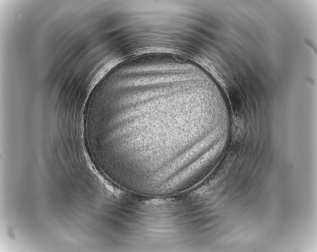 X0000098070898200804181130