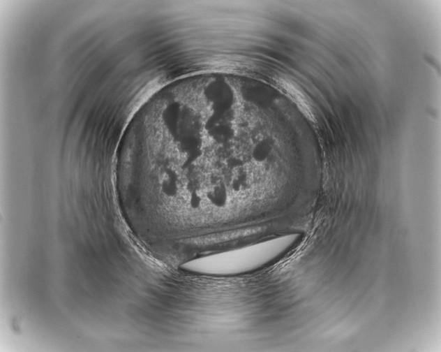 X0000098070899200804181130