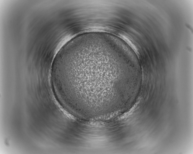 X0000098070901200804181130