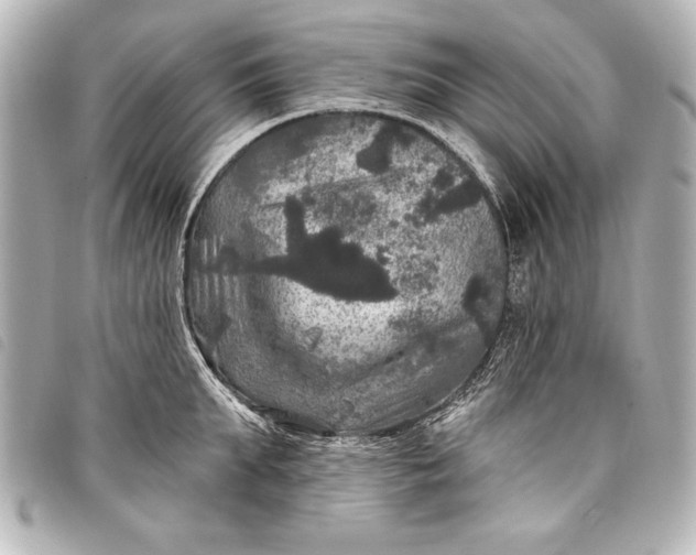 X0000098070903200804181130