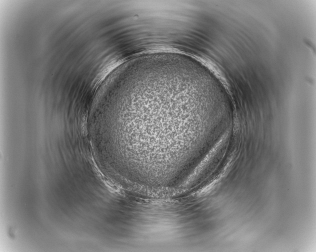 X0000098070905200804181130