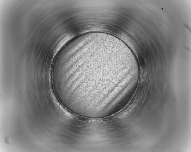 X0000098070906200804181130