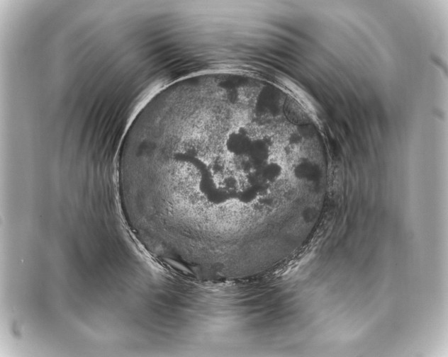 X0000098070907200804181130