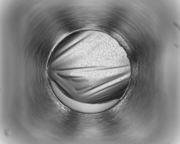 X0000098070908200804181130