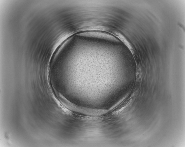 X0000098070909200804181130