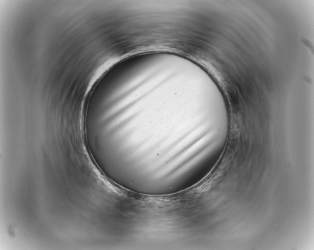 X0000098070910200804181130