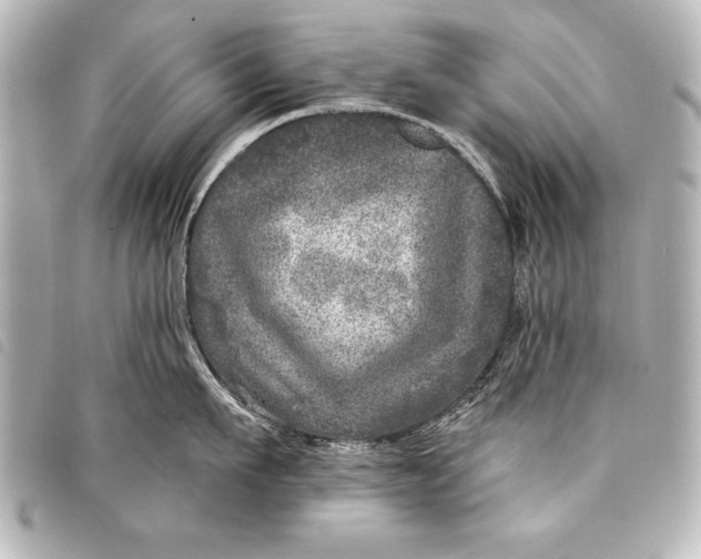 X0000098070911200804181130