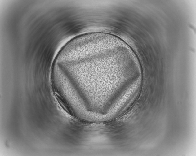 X0000098070912200804181130