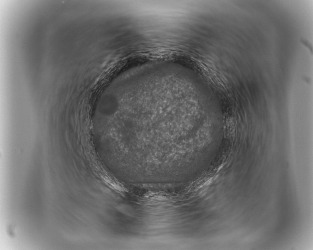 X0000098070913200804181129