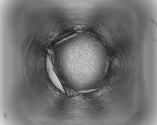 X0000098070914200804181129