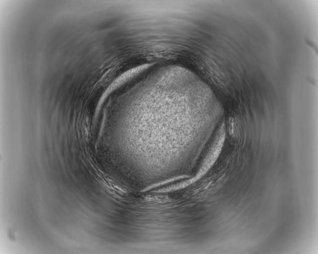 X0000098070915200804181129