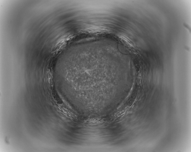 X0000098070917200804181129