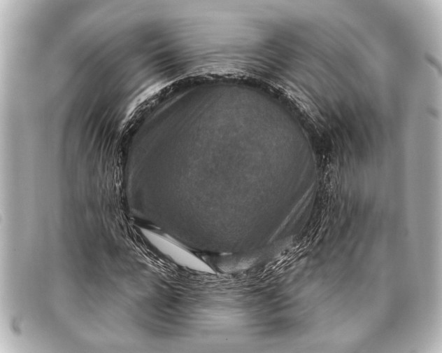 X0000098070920200804181129