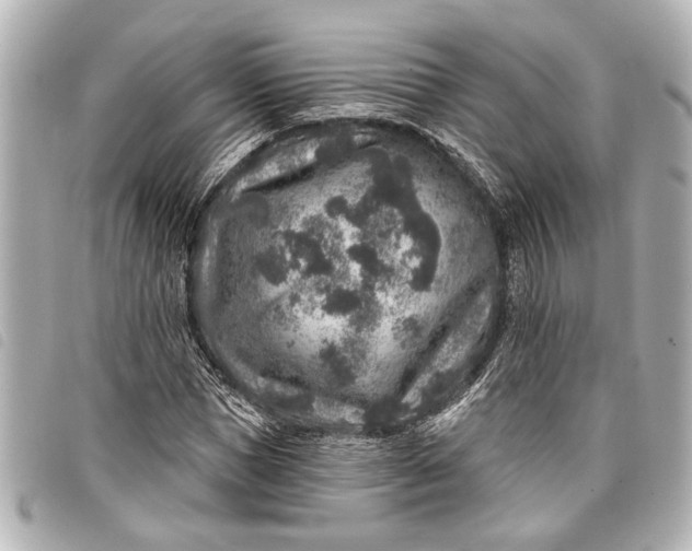 X0000098070921200804181129