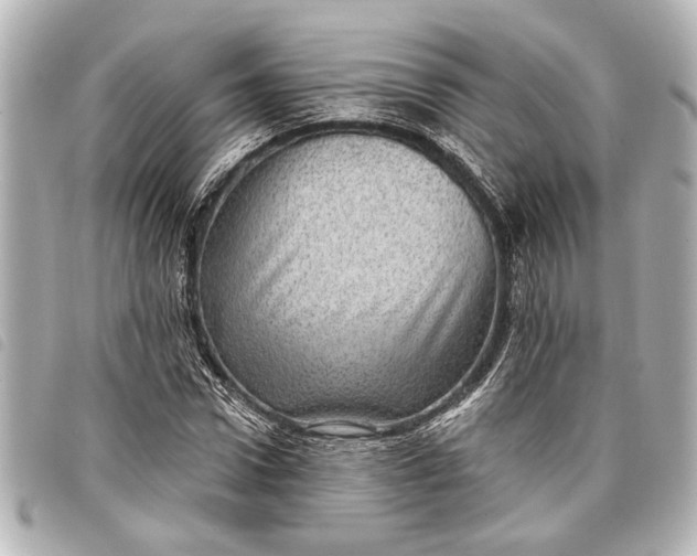 X0000098070922200804181129