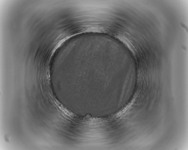 X0000098070923200804181129