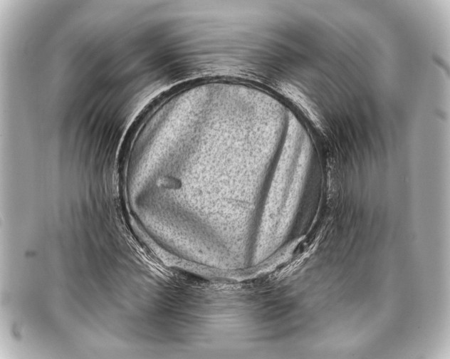 X0000098070924200804181129