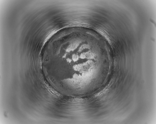 X0000098070925200804181129