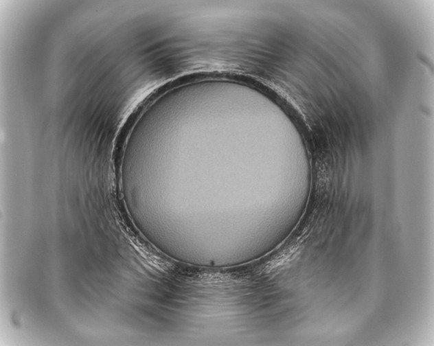 X0000098070927200804181129